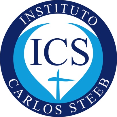 Colegio Carlos Steeb